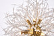 Solace Nine Light Pendant (3507D18G)