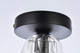 Eren LED Flush Mount (3505F5BK)