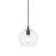 Aldrich One Light Pendant (49088-04)