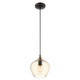 Aldrich One Light Pendant (49089-92)
