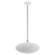 Dublin One Light Pendant (49102-03)