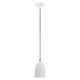 Arlington One Light Pendant (49107-03)