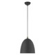 Arlington One Light Pendant (49109-76)
