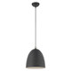 Arlington One Light Pendant (49109-76)