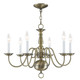 Livex Lighting - 5006-01 - Six Light Chandelier - Williamsburgh - Antique Brass