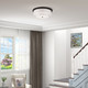Meridian Five Light Ceiling Mount (50867-07)