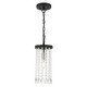 Livex Lighting - 51062-04 - One Light Mini Pendant - Elizabeth - Black w/ Brushed Nickels