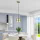 Endicott One Light Pendant (55901-01)