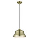 Endicott One Light Pendant (55902-01)
