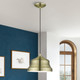Endicott One Light Pendant (55902-01)