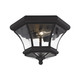 Livex Lighting - 7052-04 - Two Light Outdoor Ceiling Mount - Monterey - Black