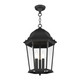 Hamilton Three Light Outdoor Pendant (7569-14)