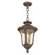 Oxford One Light Outdoor Pendant (7654-58)