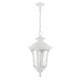 Oxford Three Light Outdoor Pendant (7858-13)