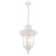 Oxford Three Light Outdoor Pendant (7858-13)