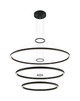 Matteo Lighting - C30896MB - LED Chandelier - O'Hara - Matte Black