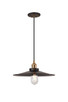 Matteo Lighting - C46113AGBK - One Light Pendant - Bulstrode'S Workshop - Aged Gold Brass