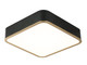 Matteo Lighting - M10542BKAG - LED Ceiling Mount - Ainslay - Black + Aged Gold Brass