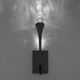 Schonbek Beyond - BWSW25523-BK - LED Outdoor Wall Mount - Plumeria - Black