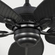 Cruise Outdoor 60 60"Ceiling Fan (5CUR60BK)