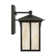 Tomek One Light Outdoor Wall Lantern (8652701CG-71)