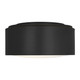 Albee Flush Mount (GLF1041MBK)
