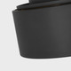 Albee Flush Mount (GLF1041MBK)