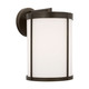 Generation Lighting - GLO1101OE-ANBZ - Lantern - Luning - Antique Bronze