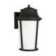 Generation Lighting - GLO1161ANBZ - Lantern - Portola - Antique Bronze