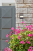 Raine LED Outdoor Wall Lamp (LDOD4010BK)