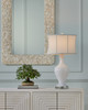 Turbinella Mirror (1000-0168)