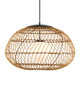 Currey and Company - 9500-0015 - One Light Pendant - Carriage - Natural/Black/Frosted White