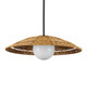 Barbary One Light Pendant (9500-0017)