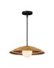 Barbary One Light Pendant (9500-0017)