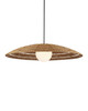Currey and Company - 9500-0018 - One Light Pendant - Barbary - Natural/Black/Frosted White
