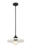 Paloma One Light Pendant (820P14-MB)
