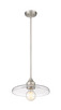 Paloma One Light Pendant (821P14-BN)