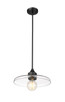 Paloma One Light Pendant (821P14-MB)