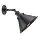 manufacturer_finish:Matte Black|manufacturer_glass:Matte Black|light_output:220.00lm|color_temperature:2200K|cri:99