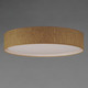 Prime LED Flush Mount (10237GC)