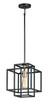 Liner One Light Pendant (10246BKSBR)