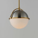 Duke One Light Pendant (12411SWSNSBR)