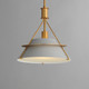 Lucas One Light Pendant (25221LFGNAB)