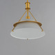 Lucas One Light Pendant (25221LFGNAB)