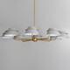 Lucas Eight Light Chandelier (25228LFGNAB)