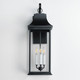 Vicksburg Three Light Outdoor Wall Sconce (30026CLBK)