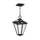 Maxim - 30569CLBK - One Light Pendant - Prism - Black