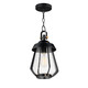 Maxim - 30621CDBKAB - One Light Outdoor Pendant - Mariner - Black / Antique Brass