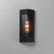 Triform One Light Outdoor Wall Sconce (30761CRBKAB)