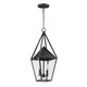 Maxim - 3168CLBK - Two Light Outdoor Pendant - Bavaria - Black